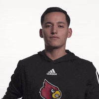 University Of Louisville Diving GIF by Louisville Cardinals