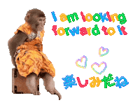 Fun Monkey Sticker