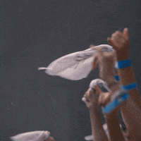 South Carolina Gamecocks Usc GIF by gamecocksonline