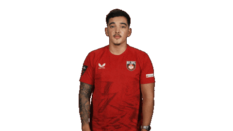 Fc Kaiserslautern Football Sticker by Bundesliga