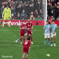 Premier League Football GIF