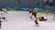 Detroit Red Wings GIF