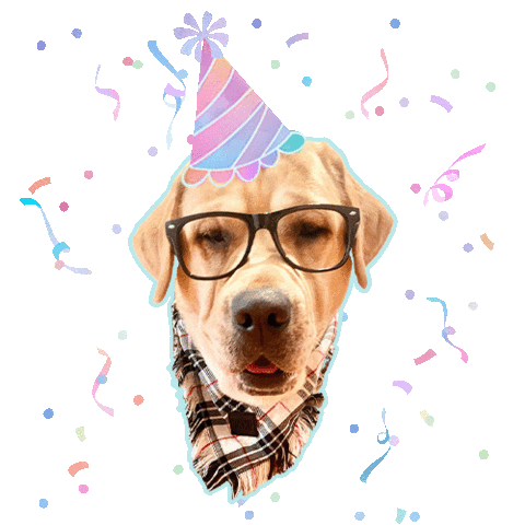 Happy Birthday Feliz Cumpleanos Sticker