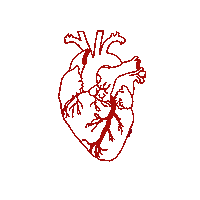 Heart Love Sticker