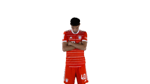 Look Up Sticker by FC Bayern Munich