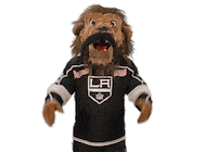 Ice Hockey Sticker by NHL