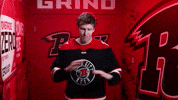 Sergeev GIF by Rapid City Rush
