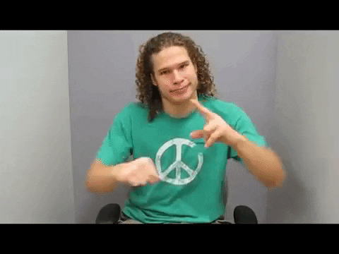 Asl Yes GIF