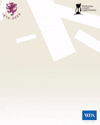 Ball Cricketer GIF by Somerset County Cricket Club