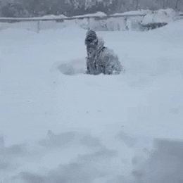 Lake Effect Snow GIF by Storyful