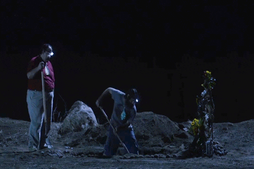 fox GIF by The Last Man On Earth