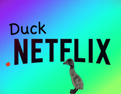 Netflix Television GIF