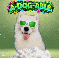 Kind Darling GIF
