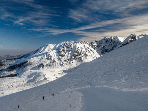 You Can Wow GIF by FranchiseONE.de