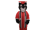 College Sports Sticker by Chapman University
