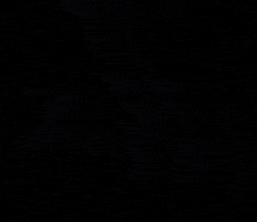 Funny Deer GIF by Wondeerful farm
