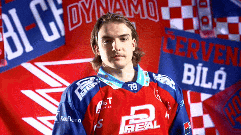 Hockeytown GIF by HC Dynamo Pardubice