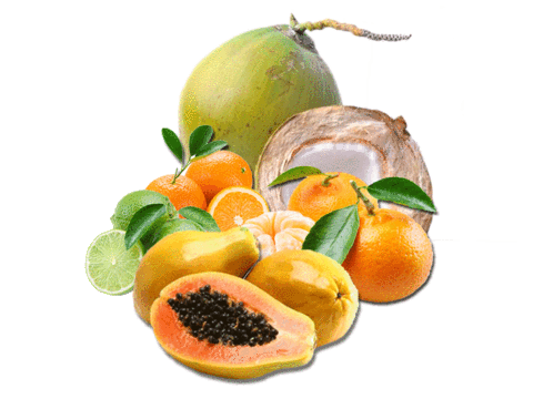bello bellofruit Sticker by Bellopapaya