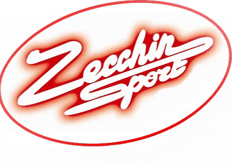zecchinsport giphygifmaker sport fitness run GIF