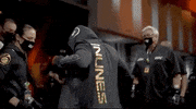 Amanda Nunes Sport GIF by UFC