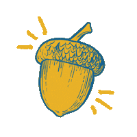 Fun Camping Sticker by Camp Fimfo