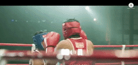 mary kom bollywood GIF