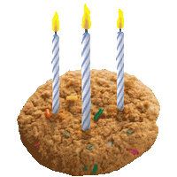 happy birthday Sticker by My Protein Bites