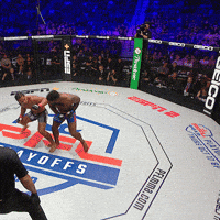 pflmma knockout mma espn ko GIF