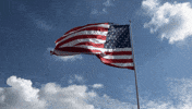 United States Usa GIF by Richard Childress Racing