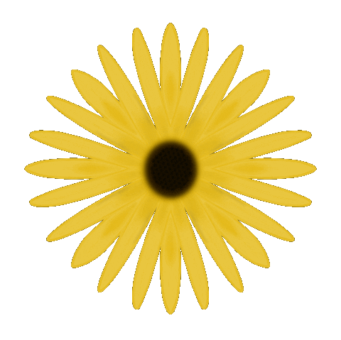 melissamsleet flower spring sunflower Sticker