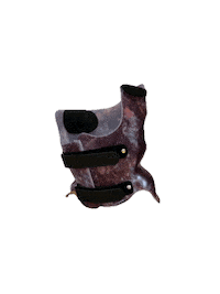 Spine Corset Sticker by asklepiosklinikbadsobernheim