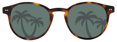 Summer Beach Sticker by kaptenandson