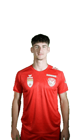 KSV1919 giphyupload kapfenberg ksv1919 marinovic Sticker