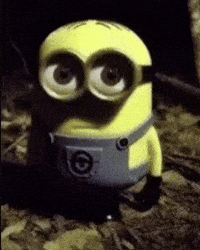Minions Wtf GIF