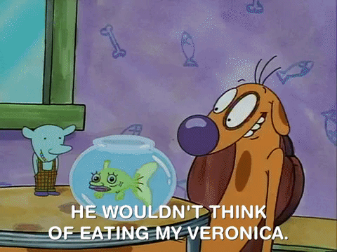 nicksplat GIF