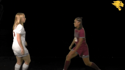 D3Soc Cuc19 GIF by CUCougars