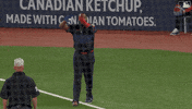Blue Jays Baseball GIF by Toronto Blue Jays