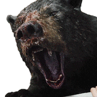 Hungry Chaos Sticker by Cocaine Bear