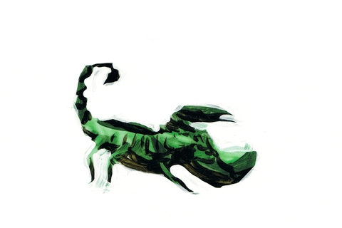 AsukaGruen giphyupload green black animal GIF