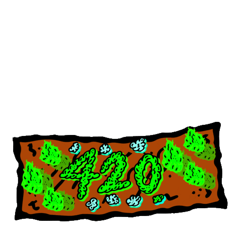 Marijuana Roll Up Sticker by Nuttz