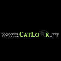 catlookbrowslashes lashes eyebrows brows cejas GIF