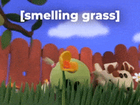 smelling grass