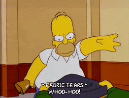 homer simpson GIF