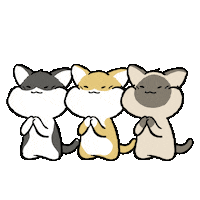 Cat Congratulations Sticker by GORO