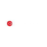 CLUBWAKA volleyball softball bowling dodgeball Sticker