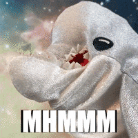 adolfeen hmm hmmm delfin mhmmm GIF