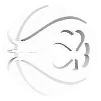IrelandBasketball basketball ireland irish basketball ireland Sticker