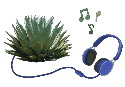 Mexico Musica Sticker by Santa Sabia Media