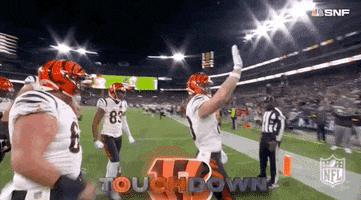 Cincinnati Bengals Hello GIF by NFL