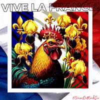 Vive La France Coq GIF by TresorsDuMonde.ca